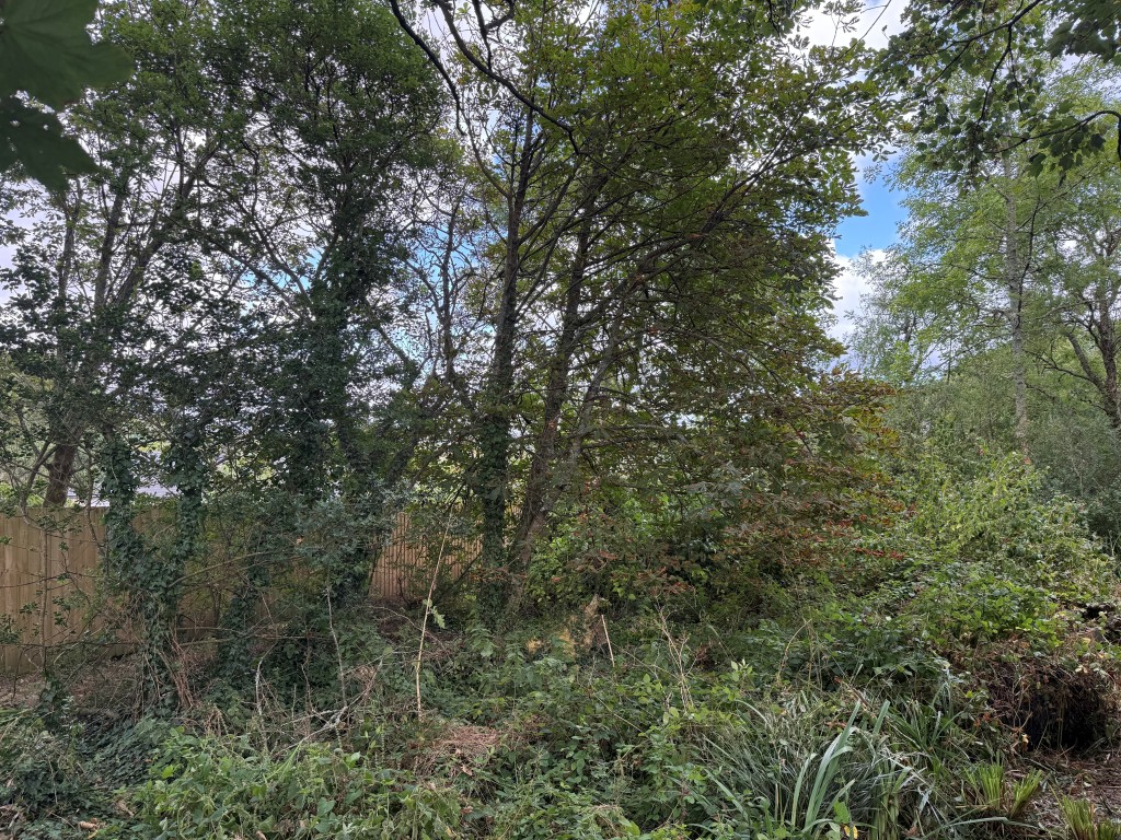 Lot: 138 - TIMBER CHALET WITH RESIDENTIAL USE, GRANITE CARTHOUSE WITH PLANNING IN PRINCIPLE, PLUS GARDENS AND PARKING - Long rear garden